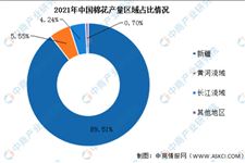 2022年中国棉花行业市场前景及投资研究报告