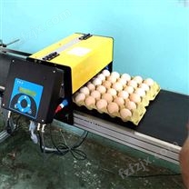 EC800鸡蛋喷码机
